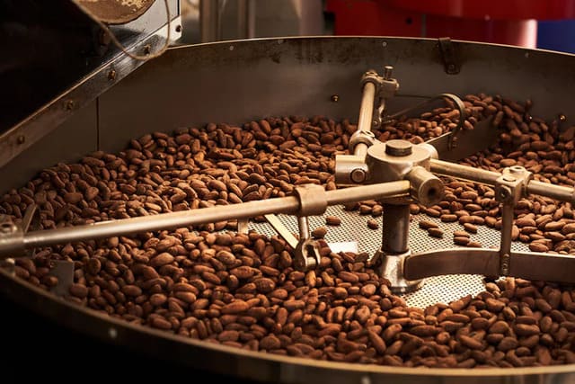 Fèves de cacao torréfiées